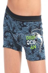 Chlapeck boxerky Ocean